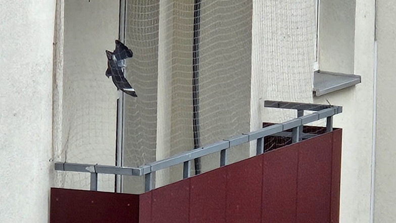Eine Taube verfing sich am Sonntagmorgen in einem Netz am Balkon eines Wohnhauses in Görlitz. Von allein konnte sie sich daraus nicht mehr befreien.