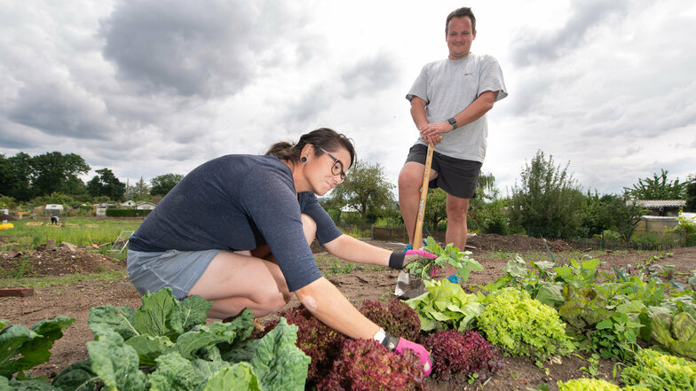 Sven Proske und Dorte Schultz müssen erst einmal schuften, bevor sie ihr Kleingartenidyll genießen können.