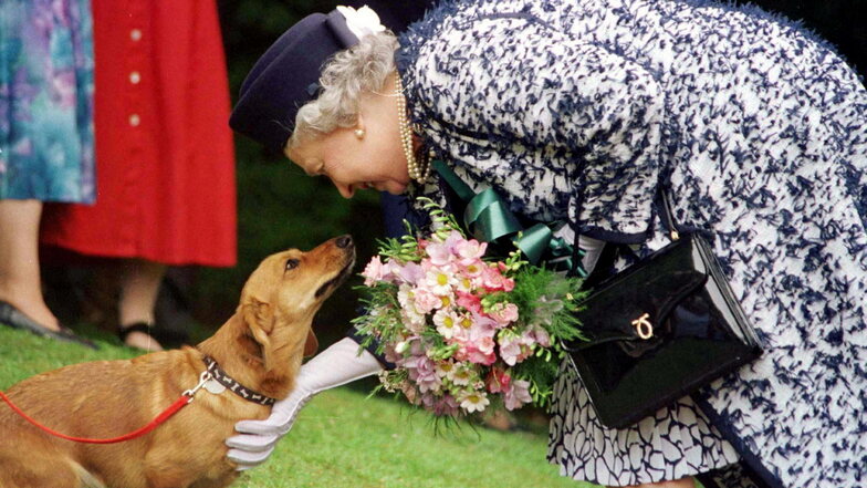 1998 streichelt Königin Elizabeth II. einen ihrer Corgi-Hunde.