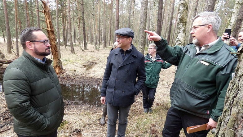 Mehrere Maßnahmen solIen dafür sorgen, dass viel Wasser im Daubaner Wald bleibt. Im Frühjahr 2023 erläuterte Revierleiter Günther Körner (r.) Umweltminister Wolfram Günther (M.) und Alexander Bonde von der Bundesumweltstiftung den Ablauf der Arbeiten.