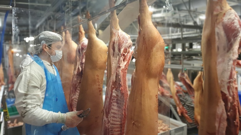 Mitarbeiter zerlegen Schweine in einer Tönnies-Fabrik. Am Standort Weißenfels werden täglich 11.500 Tiere geschlachtet.