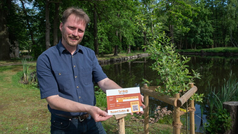 Sebastian Wünsch am Herrenhaus in Kraußnitz. Zur Eröffnung des Bienenparks bringt er noch Schilder an den gepflanzten Bäumen an, hier eine Sal-Weide.