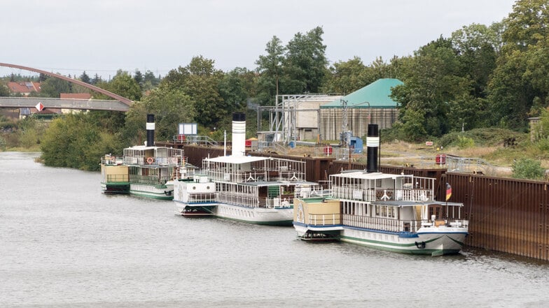 Samstagvormittag: Die Dampfer "Pillnitz", "Leipzig" und "Meissen" liegen zwischen der Schloss- und der Hafenbrücke...