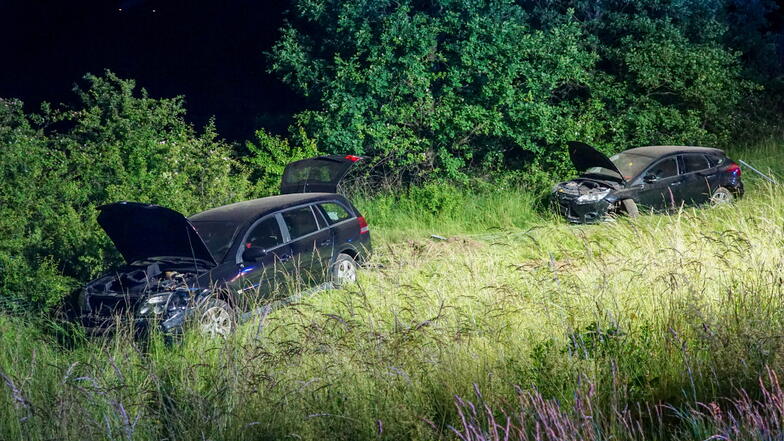 In einem Wildzaun an der A4 zwischen Salzenforst und Bautzen-West landeten zwei polnische Fahrzeuge nach einer Kollision in der Nacht zu Pfingstsonnabend. Ein Fahrer hatte zuvor die Kontrolle über sein Auto verloren..