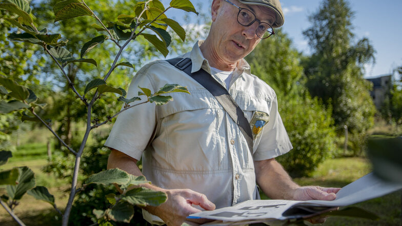 Uwe Leonhardt ist Leiter des Forstreviers Ohorn im Landratsamt. Er betreut den phänologischen Garten in Ohorn, beobachtet die Entwicklung der Pflanzen und berät Waldbesitzer.