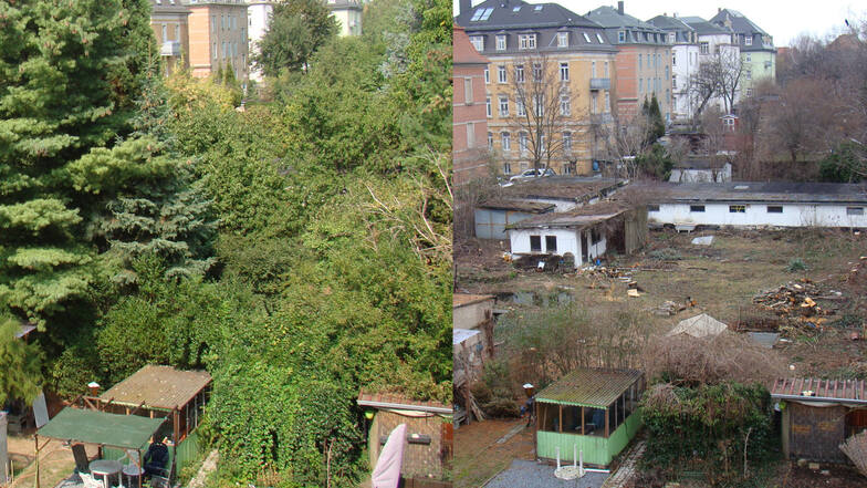 Vor dem Kahlschlag und danach: Die Aufnahmen vom Sommer 2018 (l.) und Februar 2019 (r.) zeigen deutlich, wie viel Grün im Löbtauer Innenhof verschwunden ist.
