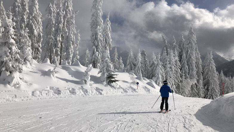 Bäume fast wie im sibirischen Winter: Piste im Skigebiet Fieberbrunn.