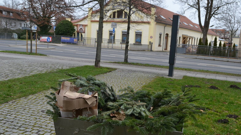 Wilde Müllablagerungen, wie hier am Kulturschloss, werden, wie auch Hundekot und Graffiti-Schmierereien, von der Saubere-Stadt-Kampagne aufs Korn genommen.
