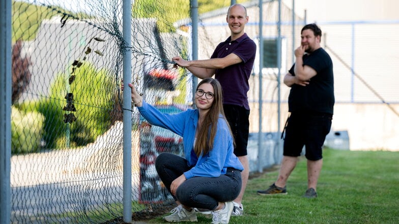 Antonia Opitz, Lars Merker und Marcel Burkhardt (hinten) vom Vorstand des Fest- und Traditionsvereins Weifa koordinieren die Vorbereitungen fürs Dorffest und die Reparatur des Zauns ums Festgelände.