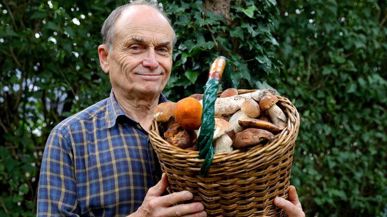 Steinpilze, Rotkappen: Jeder Pilzsammler wird neidisch bei diesem Anblick. Doch so voll wie auf dem Foto aus dem Jahr 2022 ist der Korb von Pilzberater Frank Demmler aus dem erzgebirgischen Lauter jetzt noch nicht. Das könnte sich bald ändern.