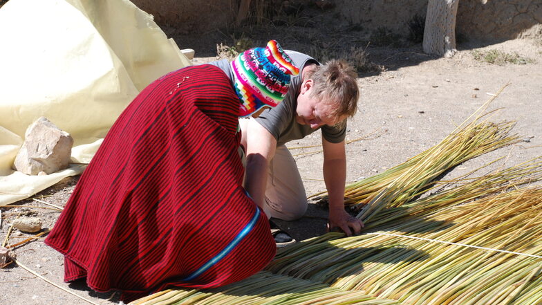 Schilfernte am Titicacasee in Bolivien und Vorbereitung für den Bau des Bootes.