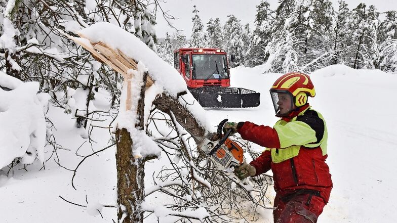 Max Mitzscherlich (großes Foto) und André Michel vom Forstbezirk Bärenfels kämpfen sich durch den Schnee im Kahleberggebiet. Viele Bäume und Äste sind gebrochen, aber es gibt auch eine Menge Gehölz, das gefährlich in die Loipen hineinhängt und weg muss.
