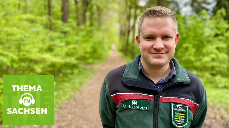 Renke Coordes ist Sprecher beim Sachsenforst. Im Podcast "Thema in Sachsen" berichtet er über den Zustand der Wälder im Freistaat.