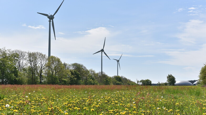 Diese Windräder steht schon im Dippser Ortsteil Hennersdorf. Über geplante weitere Anlagen gibt es Debatten.