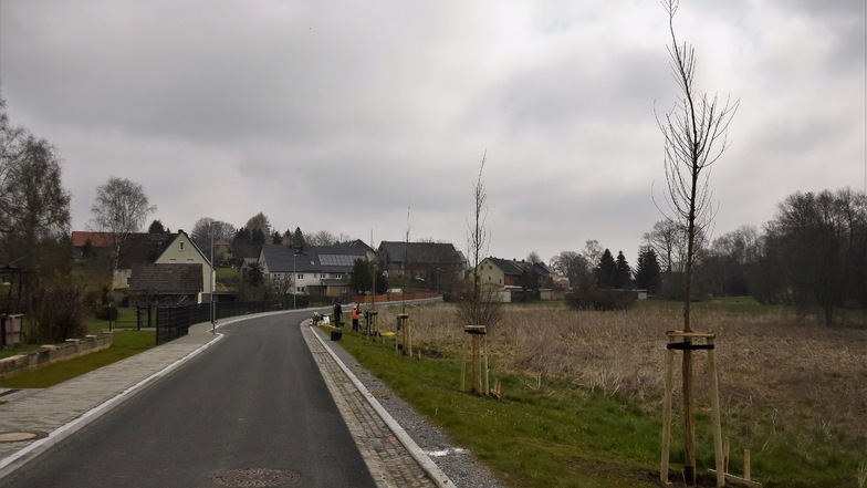 Die Ortsdurchfahrt durch Seeligstadt wird wieder grüner.
