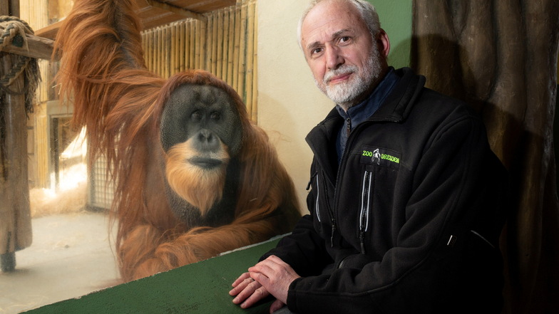 Männchen Toni kam vor 28 Jahren nach Dresden und gehört nicht nur für Wolfgang Ludwig zu den eindrucksvollsten Persönlichkeiten im Zoo.