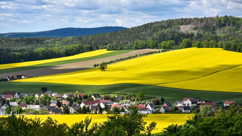 Das ist das Siegerfoto im Fotowettbewerb des Dresdner Heidebogens. Es zeigt einen Blick vom Kamenzer Hutberg - aufgenommen von Olaf Herzog.