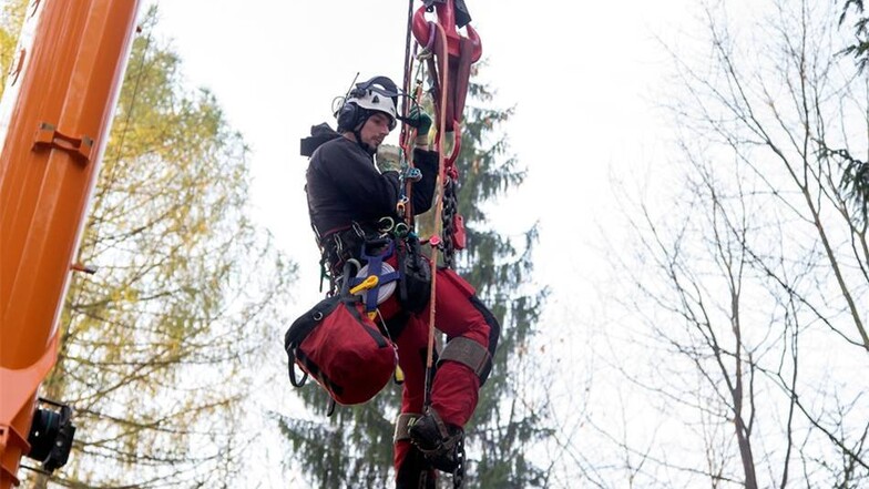 Markus Kopsch von der Firma Deppner Baumpflege hängt am Kran. Er wird langsam nach oben gezogen.Andreas Weihs