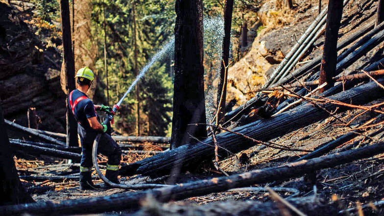 Waldbrand-Fläche in Böhmischer Schweiz erneut deutlich verringert