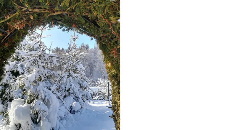 Pforte: Hereinspaziert - ins winterliche Paradies. Gartentor auf der Straße der AWG. Fotografiert von Doris Morgenstern aus Schlottwitz.