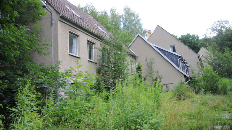 Hier, auf dem Gelände der ehemaligen Internatsgebäude östlich des Nossener Bergschlösschens am Kirschberg, sollen insgesamt neun bis zehn Einfamilienhäuser entstehen. Das Gelände, hier ein Bild von 2012, ist mittlerweile vollständig zugewachsen.