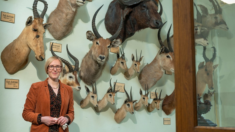 Fanny Stoye ist die Chefin des Naturalienkabinetts in Waldenburg bei Chemnitz. Im Museum sind Naturalien aus historischen Sammlungen zu sehen, die seit dem 17. Jahrhundert zusammengetragen wurden.