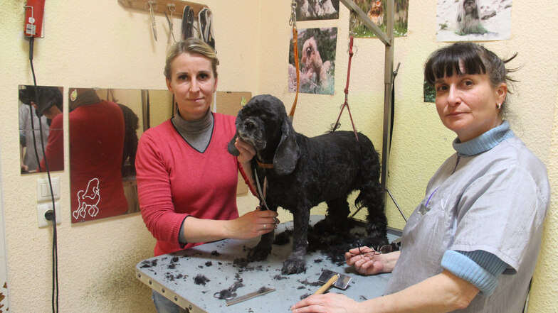 Noch arbeiten Monika Roscher (l.) und Grit Robitzsch Hand in Hand. Ab März führt Monika Roscher den Hundesalon an der Bautzener Steinstraße alleine.