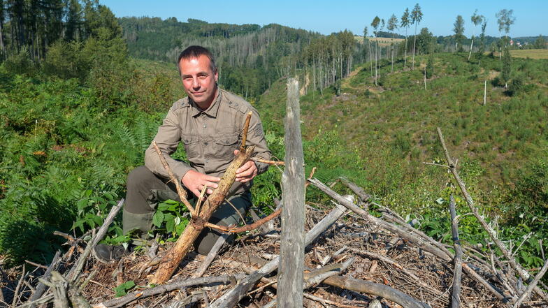 Der Wald in Lichtenhain (Sebnitz) litt in den letzten Jahren stark unter Borkenkäferbefall. Christian Steinke von der Stiftung Wald für Sachsen hilft dabei zerstörte Gebiete wieder aufzuforsten.