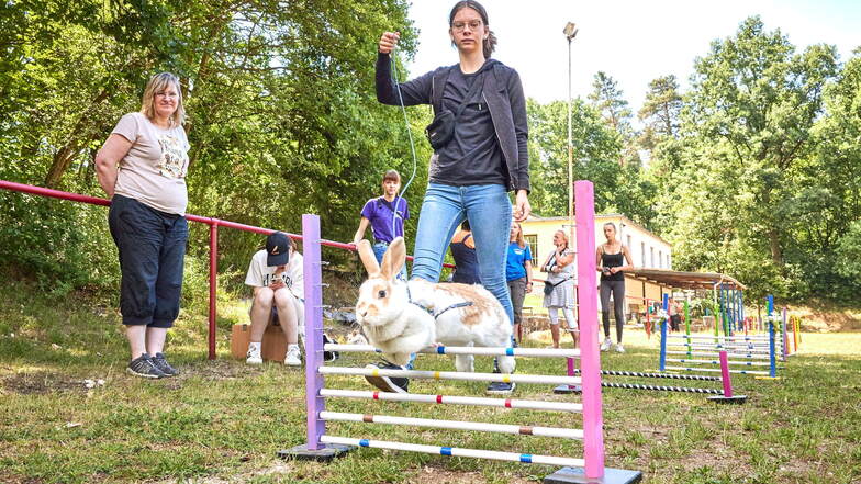 Zur Rassekaninchenschau in Ulberndorf wird auch ein Kanin-Hop-Turnier ausgetragen. Die Sachsenmeisterschaften (Foto) fanden in Pirna statt.