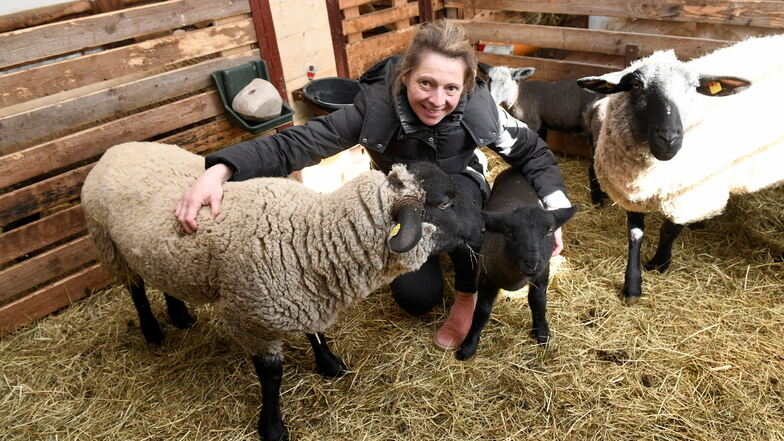 Die neun Schafe, darunter vier Lämmer, gehören zur Familie. Wann Jana Löser sie auf die Weide lässt, weiß sie jetzt noch nicht. Der Wolf macht sie vorsichtig.