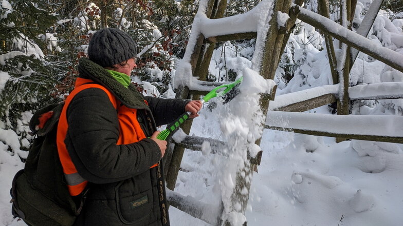 Der Schnee hat den Hochsitz in Beschlag genommen. Kristina Funke zückt den Besen und schafft sich freie Bahn.
