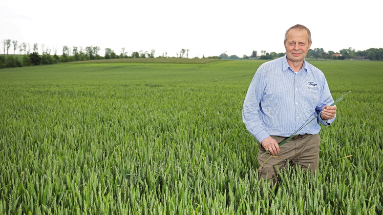 Andreas Wilhelm,
selbstständiger Agrarberater, sieht Landwirte zu Unrecht von der Politik an den Pranger gestellt.