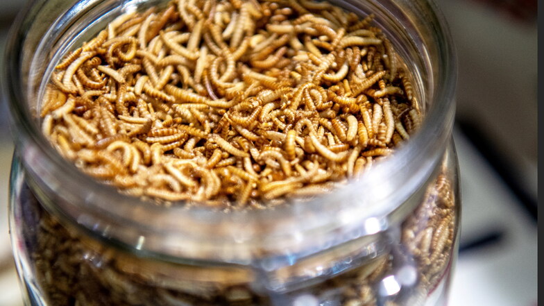 Auch getrocknete Mehlwürmer sind in der EU als Lebensmittelzutat zugelassen. Die Bäcker im Landkreis Görlitz verbacken jedoch weder ganze noch zu Mehl verarbeitete Insekten.
