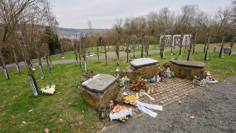 Auf dem Friedweinberg auf dem Bergfriedhof in Ahrweiler können Verstorbene die letzte Ruhe unter Weinreben finden.
