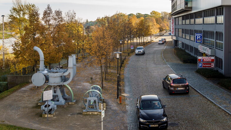 Die Elbpromenade in Riesa soll zwischen Breiter Straße und Niederlagstraße neu bepflanzt werden. Die dortigen Winterlinden sind teils stark beschädigt.