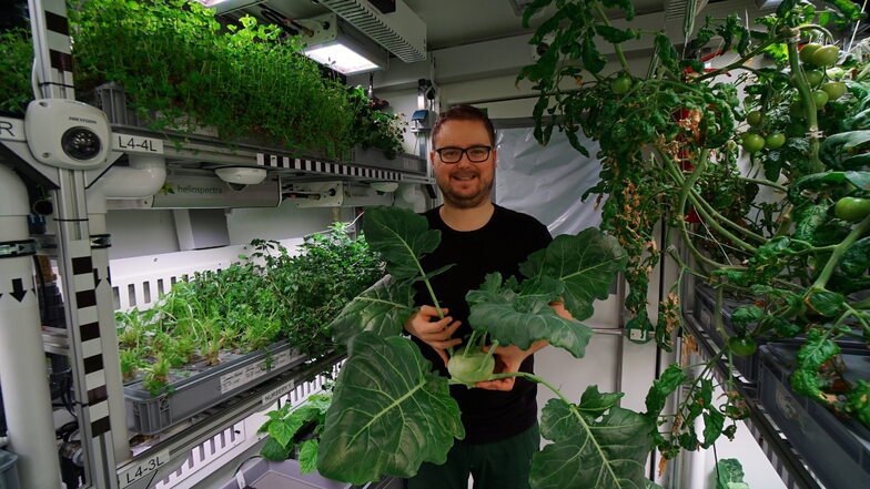 Paul Zabel, der an der TU Dresden promovierte, mitten im Grün. In der Antarktis züchtete er Gemüse in einem ganz besonderen Gewächshaus.