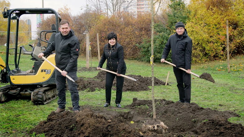 Christian Wolf (Mörbe Grünanlagenbau), Andrea Ohm (Geschäftsführerin der EWB) und Dr. Matthias Berger (Stadtbegrüner) bei der Baumpflanzung an der OS Gesundbrunnen im November 2023.