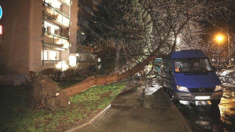 Auf dem Wölfnitzer Ring in Gorbitz brachte der Sturm einen Baum zu Fall.