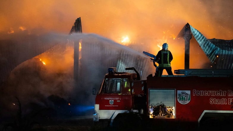 Feuerwehrkräfte bekämpfen das Feuer in    Großerkmannsdorf: Viele Tiere konnten aus dem Stall gerettet werden.