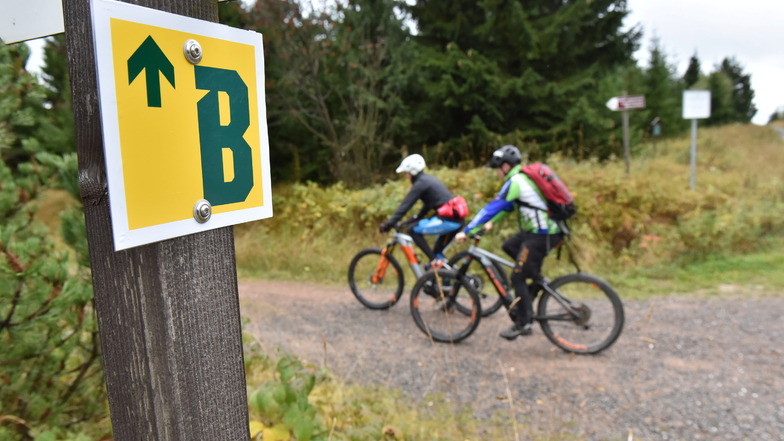 Bei Altenberg gibt es eine Mountainbike Blockline Strecke am Kahleberg. Für die Sächsische Schweiz soll ein eigener Bike-Park ein Touristenmagnet werden.