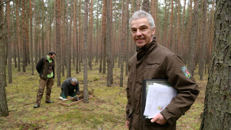 Peter Wilde ist Leiter des Sachgebiets Waldschutz/Forstbetrieb in der Forstverwaltung des Kreises. Beim Insektenscreening der vergangenen Wochen ging es vor allem um Schädlinge in den Kiefernbeständen.