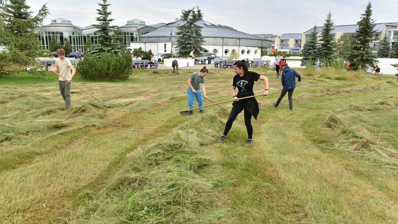 Zum Umwelttag harken Altenberger Gymnasiasten das Gras auf der Wiese an der Rehaklinik Raupennest zusammen.