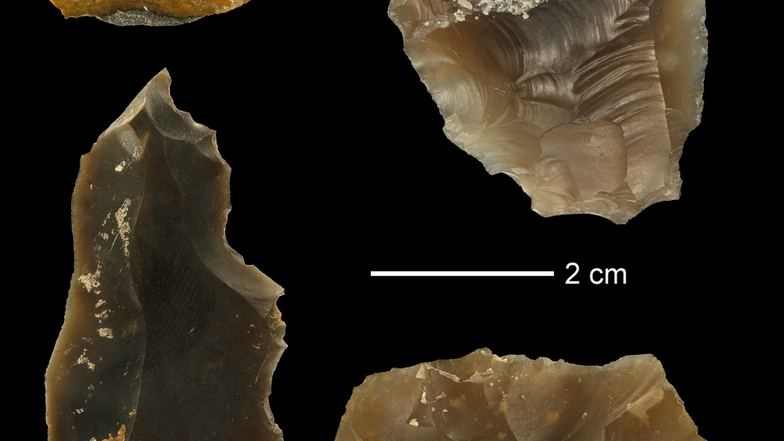 20.000 Steinwerkzeuge der Neandertaler wurden im Geiseltal bei Halle gefunden