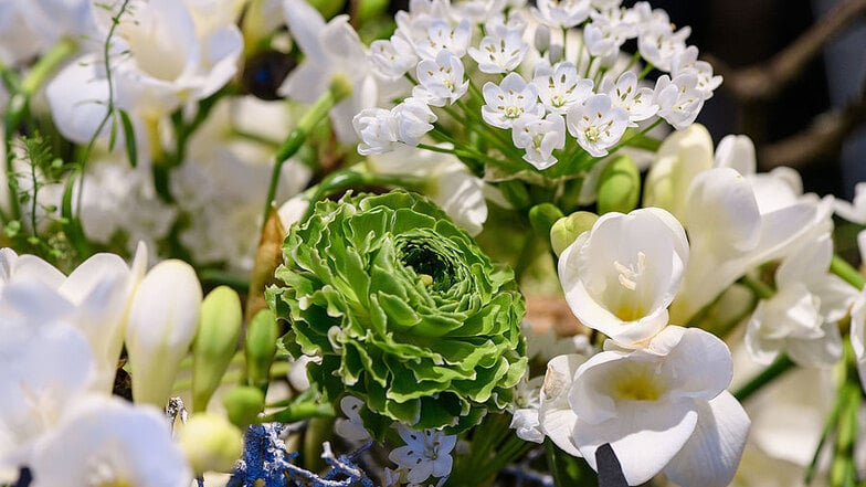 Am 2. April, 11 Uhr, ist zudem der Besuch der Deutschen Blumenfee, Regina Haindl, als ehrenamtliche Botschafterin der Branchen Gartenbau und Floristik, angekündigt.
