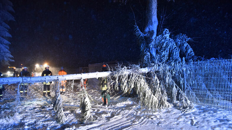 In weiten Teilen des Landkreises droht sogenannter Schneebruch. Bäume können die Schneelast nicht mehr tragen und knicken um.