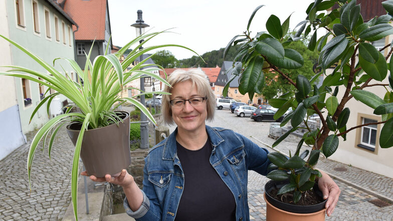 Katrin Küttner sammelt zusammen mit Pfarrer David Keller Grünpflanzen, um damit das Geisinger Gründelstadion auszuschmücken.