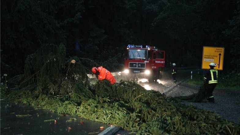 Besonders betroffen war der  Erzgebirgskreis: Bei Grünhain blockierte ein ümgestürzter Baum eine Straße.