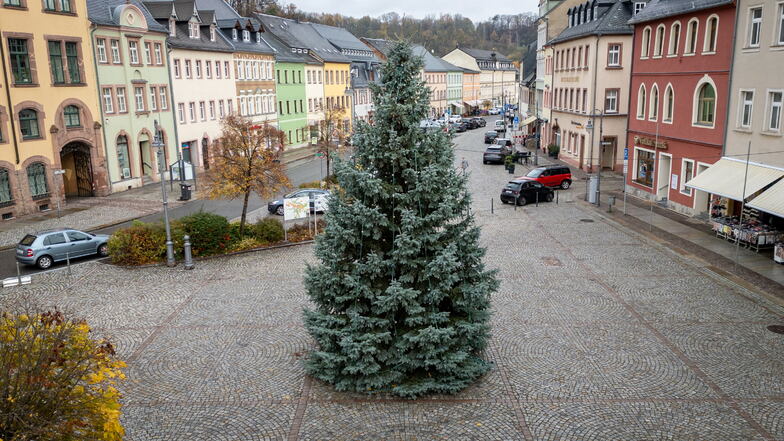 Waldheim war dieses Mal die erste Stadt, die ihren Baum aufgestellt hat: Eine elf Meter hohe Blautanne aus Reinsdorf.