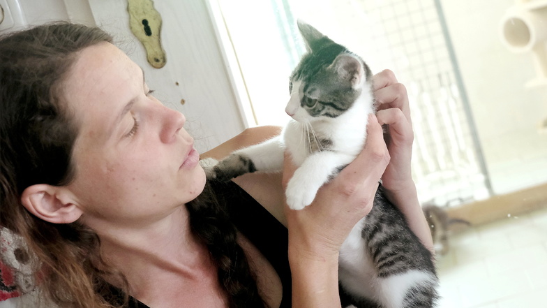 Gerade Katzen werden häufig ausgesetzt. Katja Braunstein kümmert sich dann darum ein neues Zuhause zu finden.