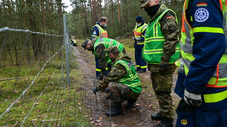Ehrenamtliche Mitglieder des Technischen Hilfswerkes und Soldaten der Bundeswehr errichten einen festen Zaun in einem Wald nahe der Neiße.